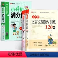[全3册]小升初满分作文+古诗词+文言文阅读与训练120篇 小学升初中 [正版]小升初满分作文大全人教版 小学生六年级精