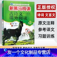 古诗文课外阅读 八年级/初中二年级 [友一个正版]新黑马阅读古诗文课外阅读八年级 初中生阅读专项训练 初二8年级上下册语