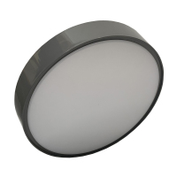 LHDQ 领航电器 LHF2920A LED吸顶灯 24W 220V 冷光 IP54