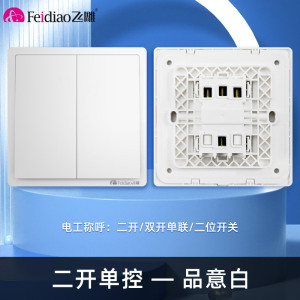 飞雕(FEIDIAO)开关插座 86型家用暗装超大面板 品意系列电源墙壁开关面板 品意白二开单控