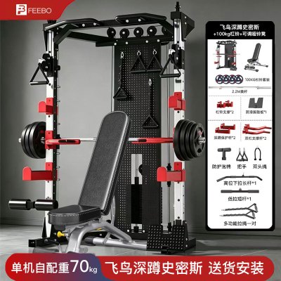FEEBO菲柏综合训练器史密斯机深蹲龙门架多功能单双杠飞鸟卧推架可调凳