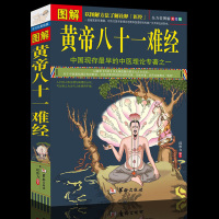 正版 图解黄帝八十一难经 黄帝内经脉学经络脏腑腧穴针法岐黄之术 中医基础理论诊断学针灸学拔罐歧黄之术黄帝中医书籍