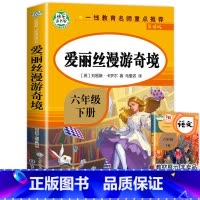 [六年级下]爱丽丝漫游奇境 [正版]全套4册 六年级下册的课外书鲁滨逊漂流记汤姆索亚历险记骑鹅旅行记鲁滨逊漂游记快乐读书