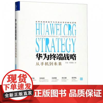 华为终端战略(从手机到未来)(精)