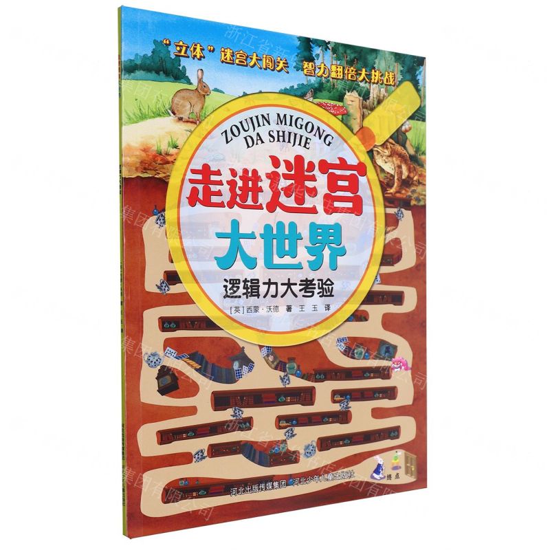 [N]逻辑力大考验/走进迷宫大世界-9787559534637