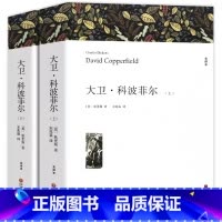 大卫科波菲尔 [正版]大卫科波菲尔上下2册无删减 原著完整版宋兆霖翻译 高中阅读课外阅读书籍全套 高中生高一语文课外必