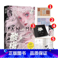 酸梅 [正版]印签本赠摄影册+人物折页+书签+贴纸*2 酸梅小说实体书黄三晋江新增番外花火青春校园晋江文学城爱情甜宠言情