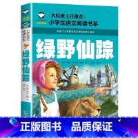 绿野仙踪 [正版]小学生一二年级阅读课外书书籍注音版儿童读物睡前故事书爱的教育中国神话故事昆虫记小王子七色花绿野仙踪父与