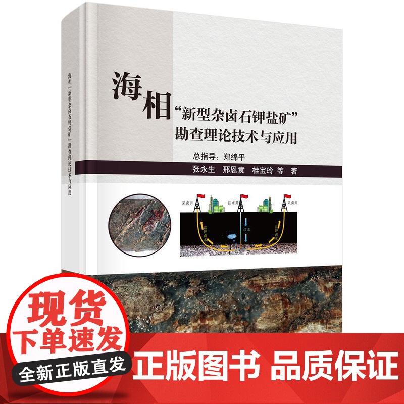 海相新型杂卤石钾盐矿勘论技术与应用 张生等 科学出版社9787030819642