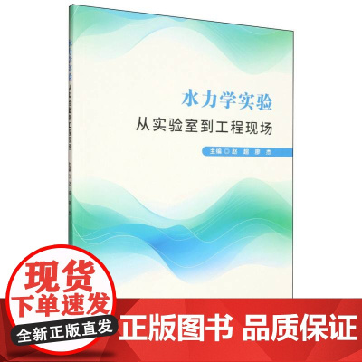 水力学实验:从实验室到工程现场