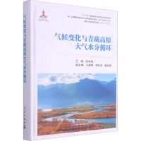 音像气候变化与青藏高原大气水分循环徐祥德 编