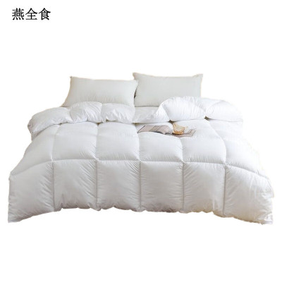 燕全食 棉被 羽丝绒 200*230cm*2kg YQSA4/条