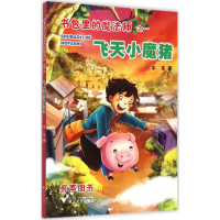 音像飞天小魔猪牛车 著