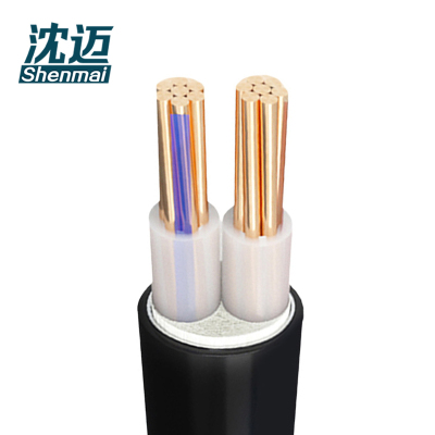沈迈 铜芯电缆 ZC-YJV-2*35平方 /米