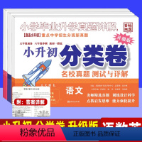 六年级]语数英 3本 小学通用 [正版]2024小升初分类卷五年真题升级版语文数学英语四五六年级重点中学招生分班真卷 百