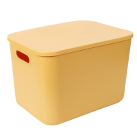 鑫木樽收纳盒25*18*15.6cm个