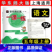 语文 小学五年级 [正版] 2022新版 华东师大版 一课一练 语文 五年级第一学期/5年级上 语文配套同步辅导 五