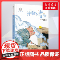 帅猪的新冒险 约翰塞克斯伯著小学生一二三年级课外经典丛书儿童文学3-9-13岁小学生寒暑假阅读睡前故事书湖南少年儿童出版