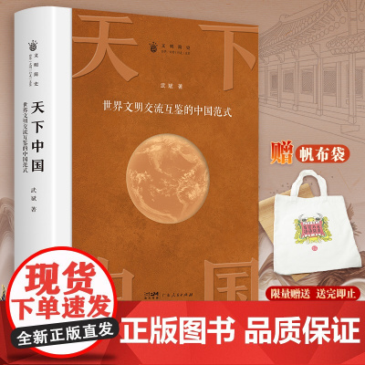 天下中国 世界文明交流互鉴的中国范式 书历史书籍 课外阅读历史知识大全中国历史书籍中国通史古代史世界史正版书籍