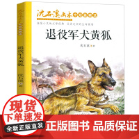 退役军犬黄狐正版中小学生课外阅读书籍沈石溪画本动物小说8-9-10岁以上青少年儿童文学读物三四五六年级课外书必读故事书
