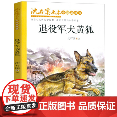 退役军犬黄狐正版中小学生课外阅读书籍沈石溪画本动物小说8-9-10岁以上青少年儿童文学读物三四五六年级课外书必读故事书