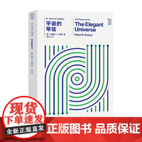 宇宙的琴弦 布莱恩·R.格林 著 推动丛书 物理系列科普读物书籍 空间 时间 量子 黑洞 超弦理论 湖南科学技术出版社正