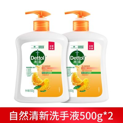 滴露洗手液抑菌清洁健康洗手儿童宝宝水洗滋润家用 自然清新500g*2瓶