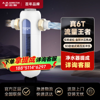 AO史密斯佳尼特前置过滤器 CPF-T6 过滤家用净水器前置净水器过滤器全屋净水 反冲洗设计 6吨每小时
