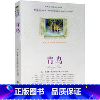 [正版]选4本44元 青鸟 莫里斯·梅特林克小说 小学生三四五七八六年级 青少年版初高中生名著课外书籍世界经典文学作