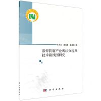 [N]渗锌防腐产业现状分析及技术路线图研究-9787030682338
