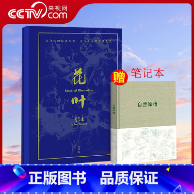 [正版]央视网花叶装饰画全十幅+自然原稿笔记本 曾孝濂作品 科学生物画十幅礼盒装套装美学美育书籍花叶曾孝濂云南花鸟同作