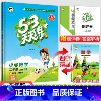 53天天练二年级上册数学(西师版) 小学二年级 [正版]2023秋新版 小学53天天练二2年级上册下册同步训练语文数学全