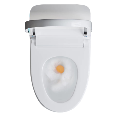 LONMATE 全自动智能马桶SL-003 一个