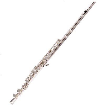梵巢长笛16孔闭孔白铜镀镍成人初学儿童C调考级演奏E键曲列FL-218