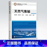 [正版]天然气集输 天然气收集处理加工输送储存油气储运油气集输天然气集输天然气集气油气田生产 中国石化出版社