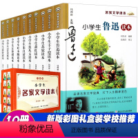 10册]小学生名家文学读本 [正版]小学生鲁迅读本老舍读本孔子学本读本叶圣陶读本丰子恺读本巴金读本沈从文白居易朱自清萧红