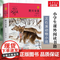 野犬女皇 升级版 沈石溪动物小说正版品藏书系 小学生三年级四年级课外书7-8-9-10岁寒暑假课外书阅读浙江少年儿童出版