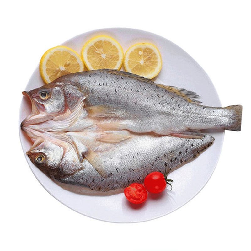 三去海鲈鱼鲜活冷冻大鲈鱼开背白蕉海鲜新鲜水产400g±50g顺丰 鲈鱼1
