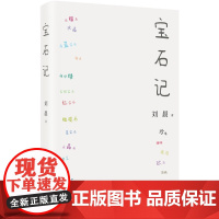 宝石记 刘晨 著 小说