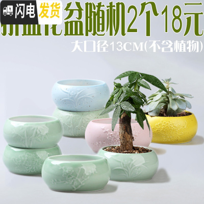 三维工匠花盆陶瓷大号肉肉塑料紫砂绿萝多肉植物多肉花盆 拼盘花盆随机2个 中等花盆容器