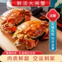 [活蟹]大闸蟹全母2.3两-2.6两 8只中秋礼盒 去绳足重精品活蟹河蟹鲜活苏州直发