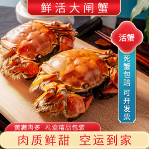 [活蟹]苏州精品大闸蟹全母2.3两-2.6两 8只螃蟹礼盒 去绳足重精品活蟹河蟹鲜活苏州直发