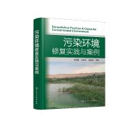 音像污染环境修复实践与案例周启星,刘家女,薛生国