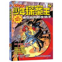 [N]维也纳的暗夜猎手(最强大脑版)/少年探案王-9787539574233