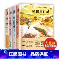 [全套4册]快乐读书吧六年级下册 [正版]全套4册 鲁滨逊漂流记原著完整版 六年级下册课外书必读的快乐读书吧阅读汤姆索亚