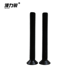 泽力锐 沉头螺栓 M12x110mm 个