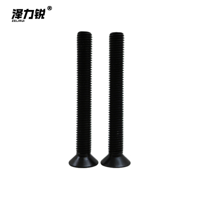 泽力锐 沉头螺栓 M12x110mm 个