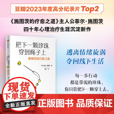 把下一颗珍珠穿到绳子上 施图茨的疗愈之道 菲尔施图茨著 中信出版社图书 正版
