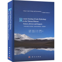 青藏高原湖泊水文变化规律、驱动因素及影响反馈:从遥感视角