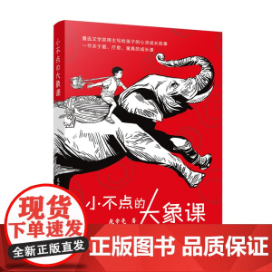 小不点的大象课 鲁迅文学奖得主庞余亮长篇力作 学校课外阅读